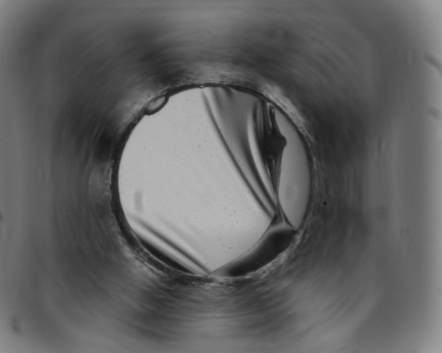 X0000095130058200801041256