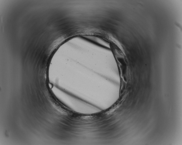 X0000095130059200801041256