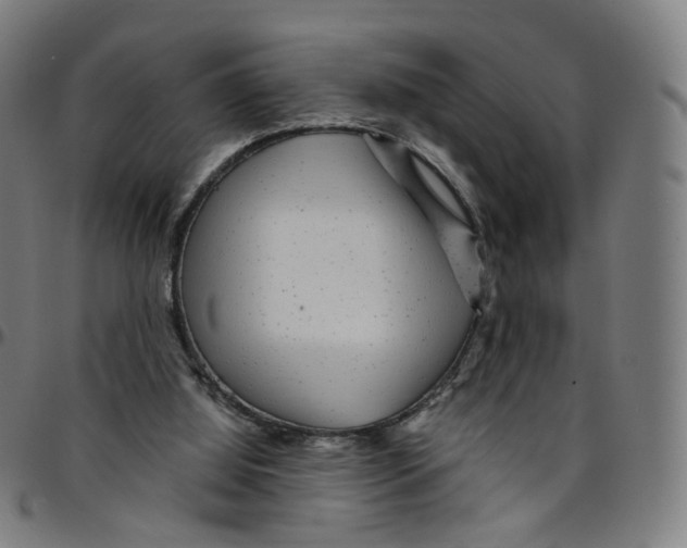 X0000095130060200801041256