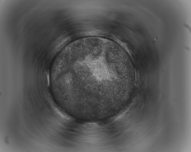 X0000095130061200801041256