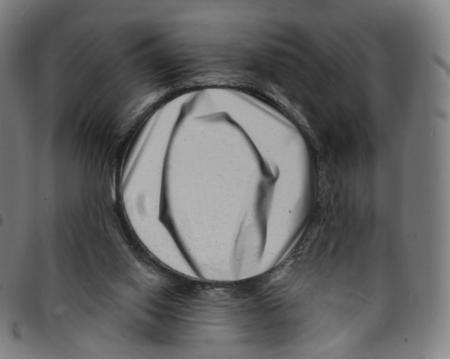 X0000095130062200801041256