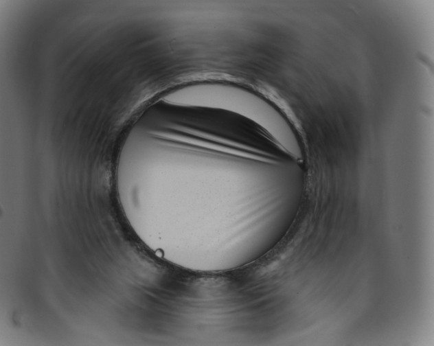 X0000095130063200801041256