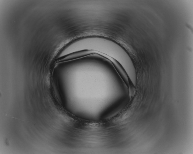 X0000095130064200801041256