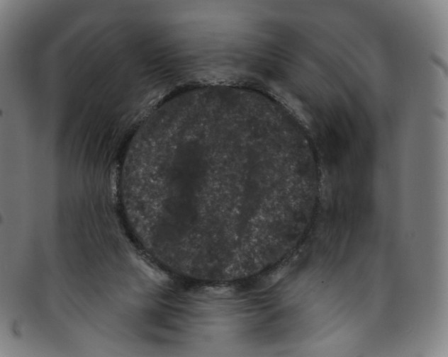 X0000095130065200801041256