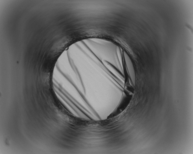 X0000095130066200801041257