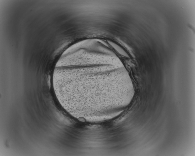 X0000095130067200801041257