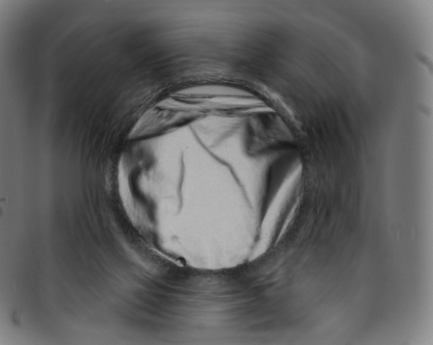 X0000095130069200801041257