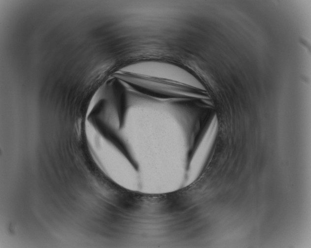 X0000095130070200801041257