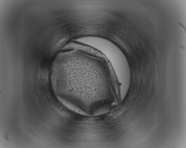 X0000095130072200801041257