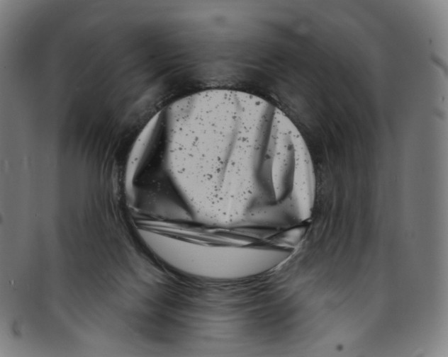 X0000095130074200801041257