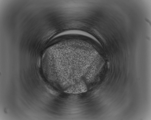 X0000095130076200801041257