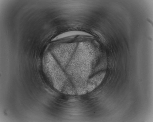 X0000095130077200801041257