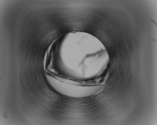 X0000095130078200801041257