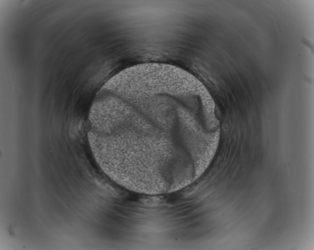 X0000095130079200801041257