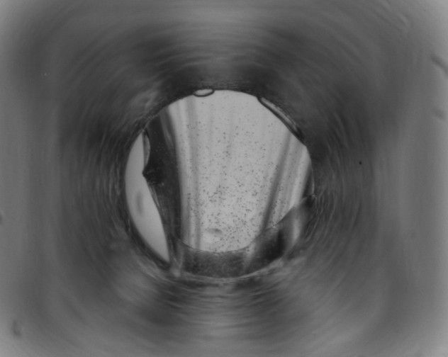 X0000095130080200801041257