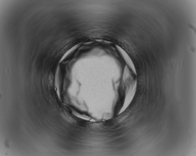 X0000095130081200801041257