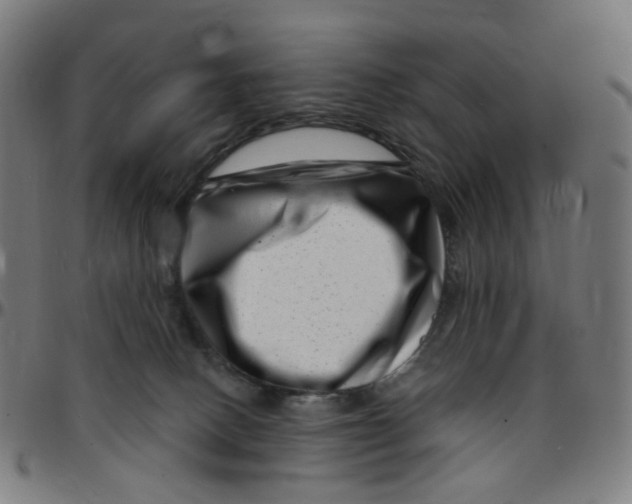 X0000095130082200801041257