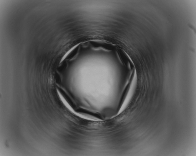 X0000095130084200801041257