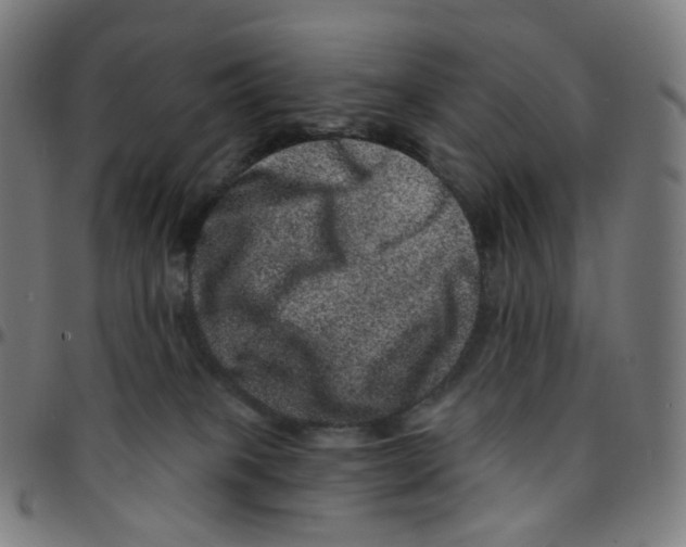 X0000095130085200801041257