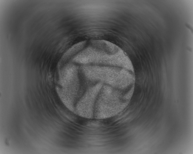 X0000095130086200801041257