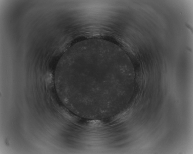 X0000095130087200801041257