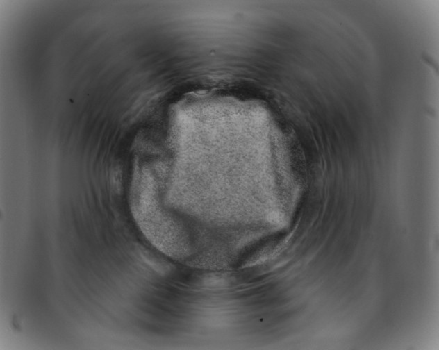 X0000095130090200801041257