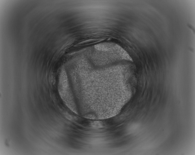 X0000095130091200801041257