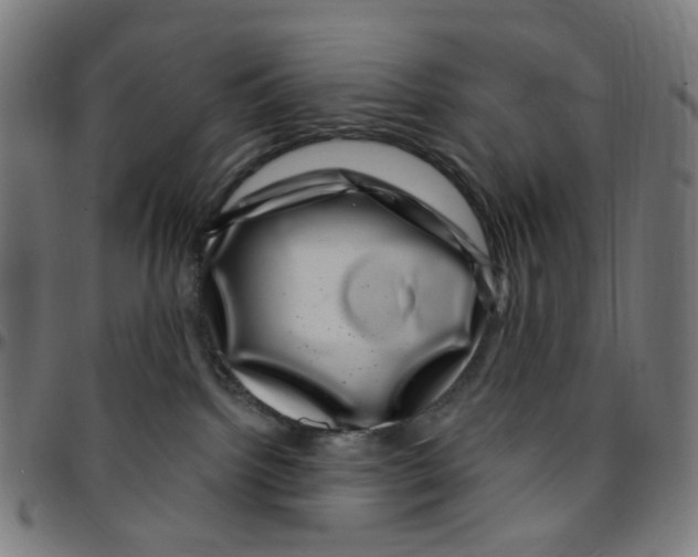 X0000095130092200801041257