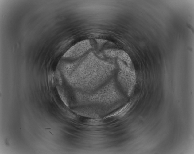 X0000095130094200801041257