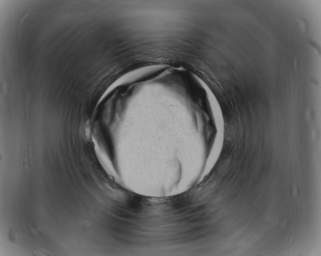 X0000095130095200801041257