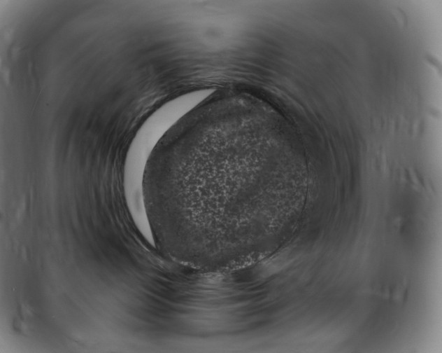 X0000095130096200801041257