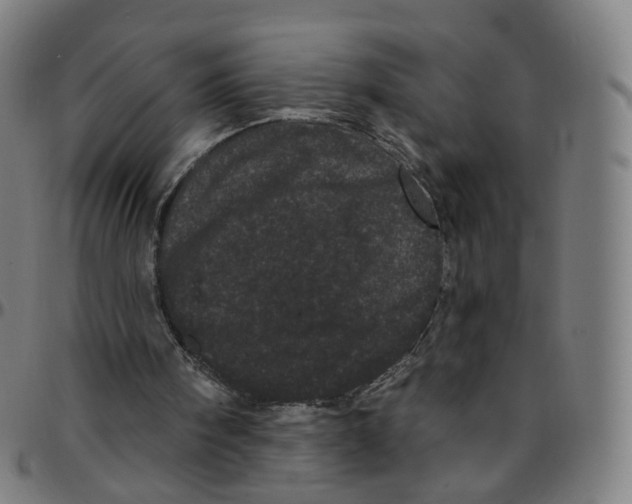 X0000095130098200801041256