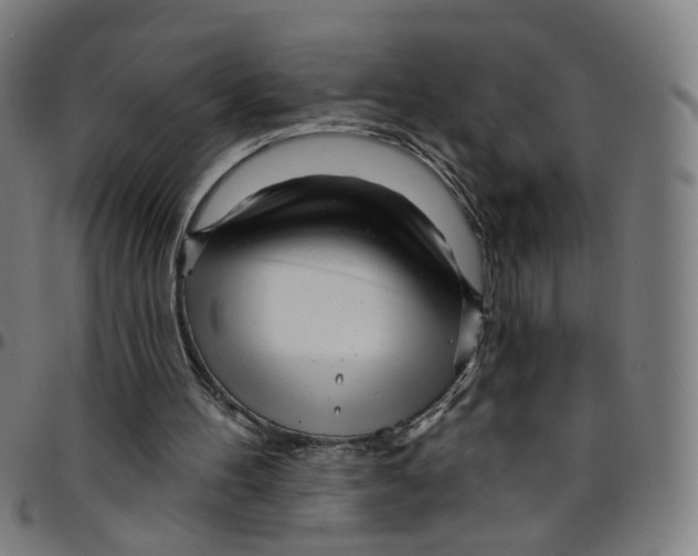 X0000095130100200801041256