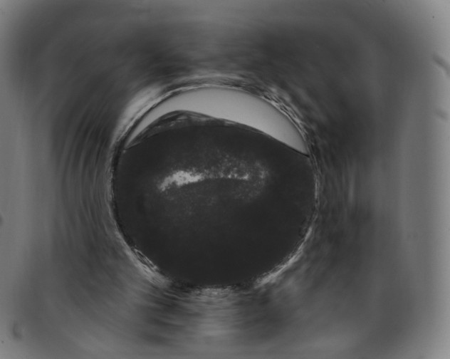 X0000095130101200801041256