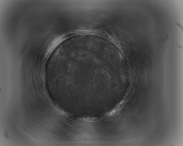 X0000095130103200801041256