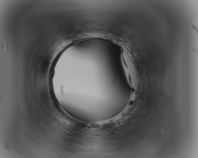 X0000095130104200801041256