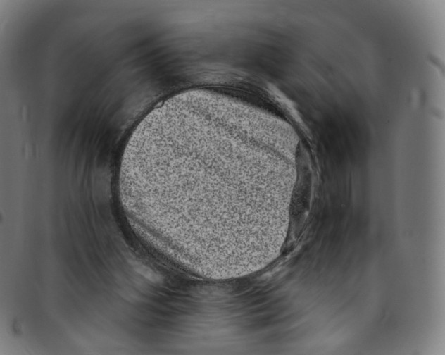 X0000095130106200801041256