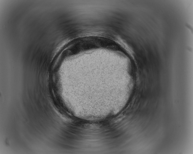 X0000095130107200801041256