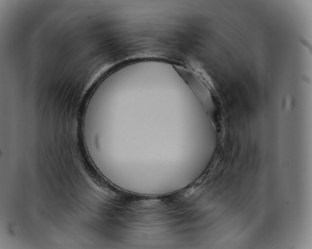 X0000095130108200801041256