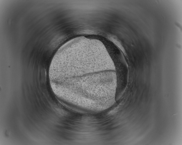 X0000095130109200801041256