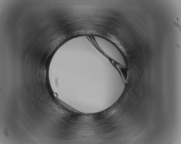 X0000095130110200801041256