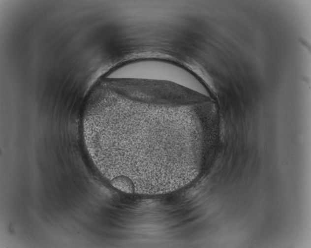 X0000095130111200801041256