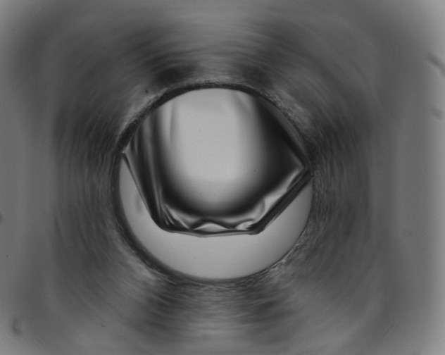 X0000095130112200801041256