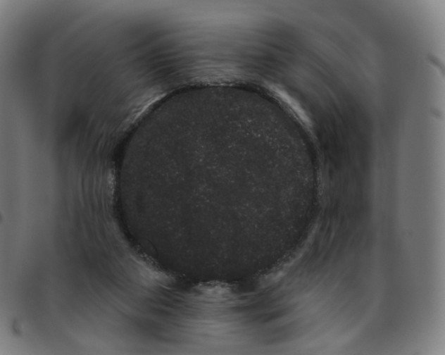 X0000095130113200801041256