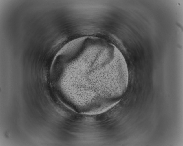 X0000095130114200801041256