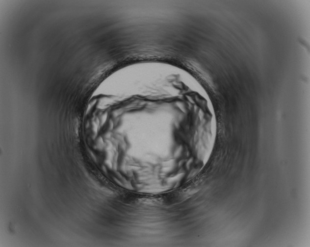 X0000095130115200801041256