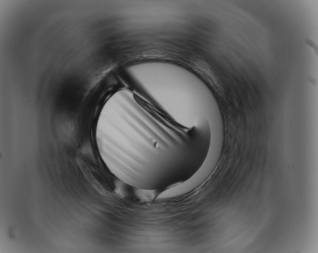 X0000095130116200801041256