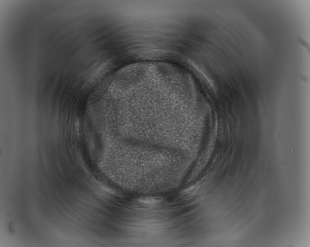 X0000095130117200801041256