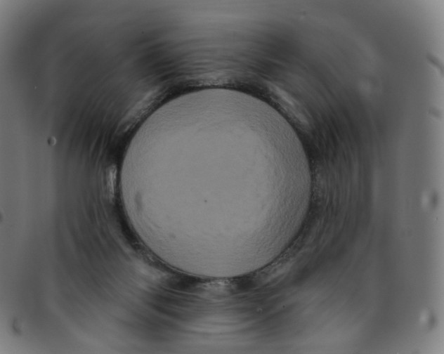 X0000095130118200801041256