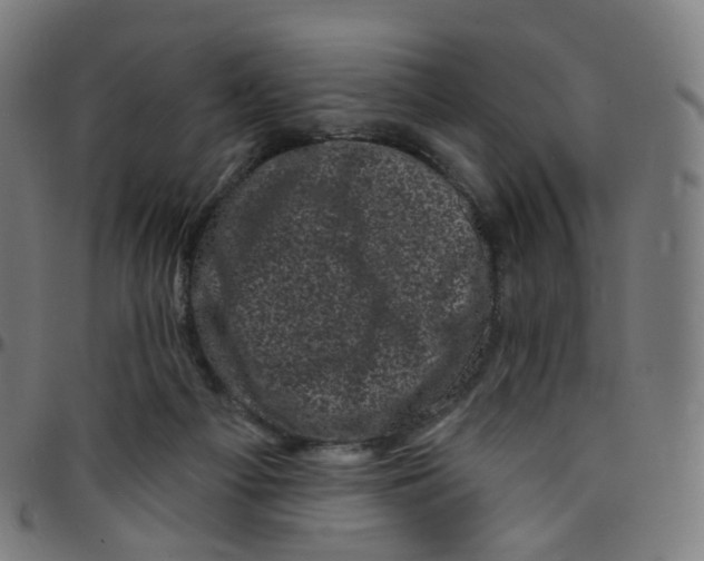 X0000095130121200801041256